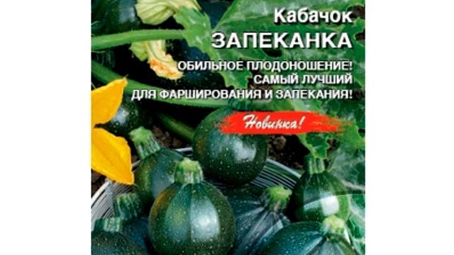 А у вас растут круглые кабачки?? смотреть онлайн
