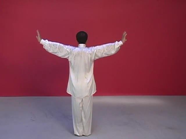 Ren Guang Yi --Chen Style Taiji --21 FORM смотреть онлайн