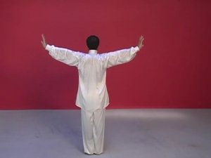 Ren Guang Yi --Chen Style Taiji --21 FORM