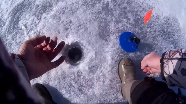 Ловля живца на Тихом плёсе смотреть онлайн
