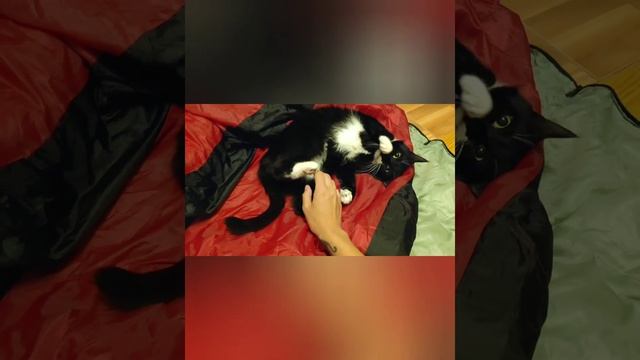 Молодечно - Лида - Гродно / Безумные дети / Беларусь смотреть онлайн