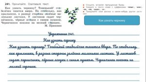 Упражнение 241. Русский язык 3 класс. Часть 1.