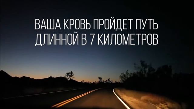 Что делает наше тело за 30 секунд смотреть онлайн