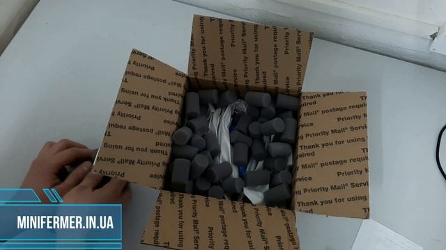 Перепелиные яйца Селадон Celadon смотреть онлайн