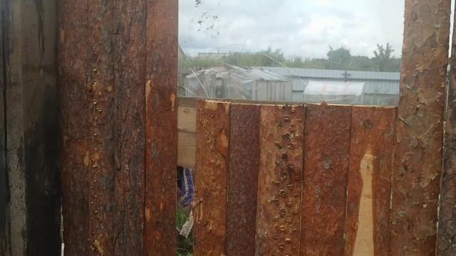 Дешёвый сарай из горбыля для поросят. смотреть онлайн