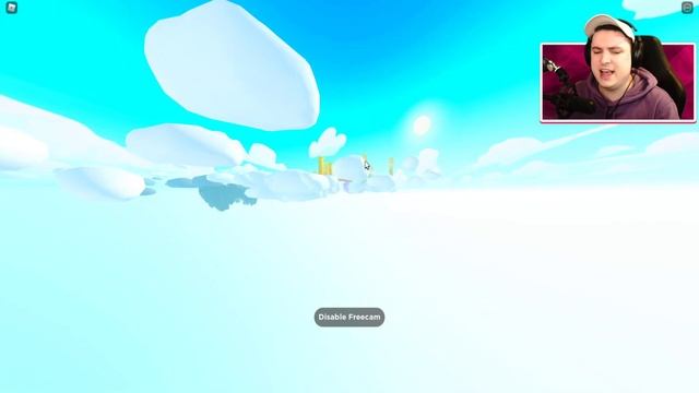 PET SIMULATOR OWNER Gave Me NOCLIP FLY HACKS In ROBLOX PET SIMULATOR X смотреть онлайн