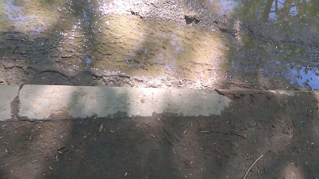 Поликлиника 69 ремонт (17.05.2024)