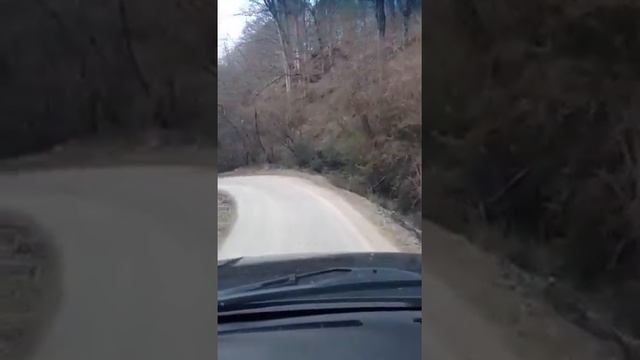 Scuddy Holler смотреть онлайн
