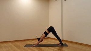 Хатха-йога с Анастасией Веретенниковой (лёгкий уровень +)