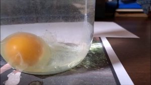 Диагностика на яйце: порядок действий на примере