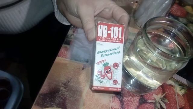 Проращиваем семена. На примере семян лука. смотреть онлайн