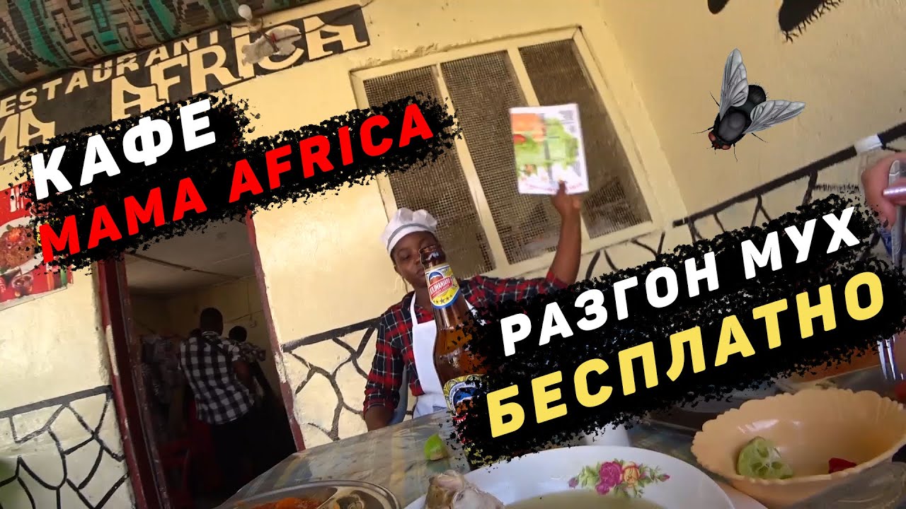 Бюджетный обед на Нунгви. Занзибар 2021 смотреть онлайн