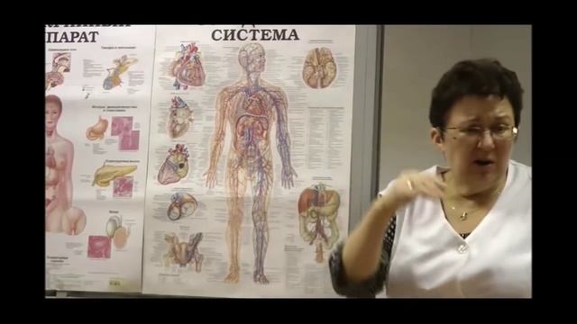 гирудотерапия Olga Schishova 2 смотреть онлайн