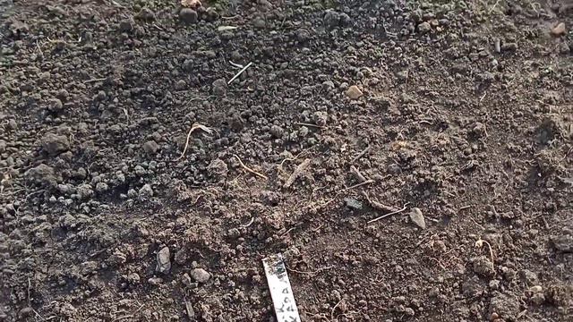 Заморозки. Дачные работы. Ура, первый урожай! смотреть онлайн