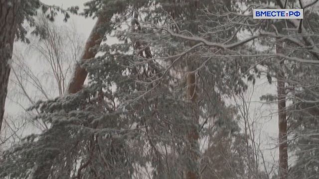 Мещёра. Рязанская область // Meschera. Ryazan region смотреть онлайн