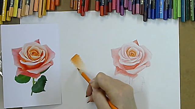 Рисуем розу цветными карандашами. смотреть онлайн