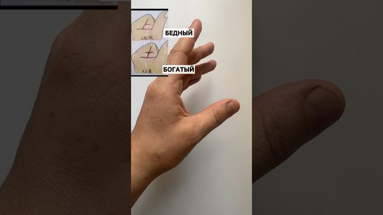 Древний китайский тест по руке бедный или богатый смотреть онлайн