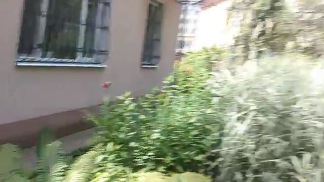 Лука и Никита смотреть онлайн