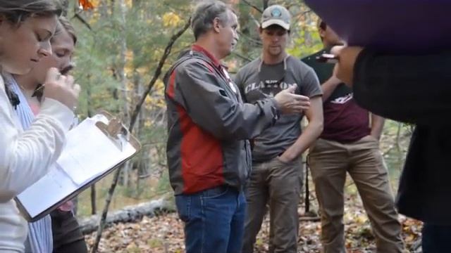 Vaccinium pallidum смотреть онлайн