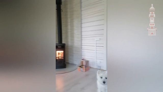 Печь La Nordica Super Junior Panoramic с варочной плитой... смотреть онлайн