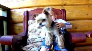 Инфинити НАДО НЕБЕСНЫЙ ВИХРЬ S Подарок, Обзор, Распаковка, Битва! Infinity Nado!