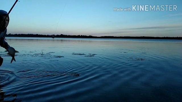 Успешные Уловы