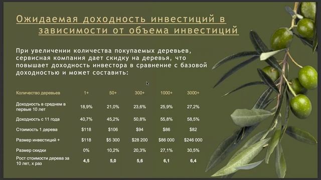 Оливковый бизнес, один из самых стабильных и прибыльных бизнесов смотреть онлайн