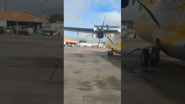 В аэропорту Сан-Паулу огромная птица влетела в нос пассажирского самолёта застряла в нём. смотреть онлайн