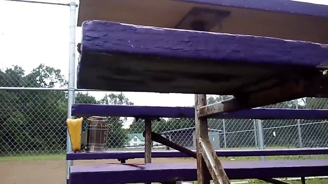 Honeybee Swarm Removal Trick/ Leave No Bees Behind смотреть онлайн