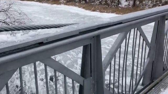 VLOG:Пицца.Ромку Побрили. смотреть онлайн