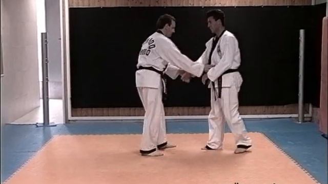 Sin Moo Hapkido Nivel 2 смотреть онлайн