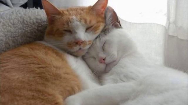Ooo you touch my Talala смотреть онлайн