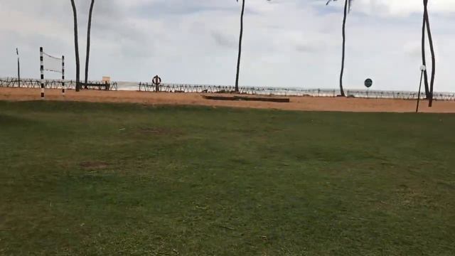 Dolphin Is Alive-Club Hotel Dolphin