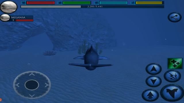 ??Ultimate Ocean Simulator- "Dolphin Simulator"-Part 2 -By Gluten Free Games-IOS/Android смотреть онлайн