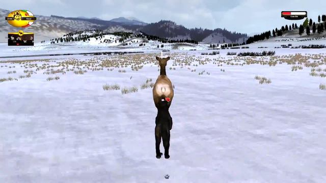 WolfQuest 2.7 - Часть 2 #1 (Зима) смотреть онлайн