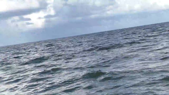 Red tide Florida 2018. Опасные пляжи Флориды смотреть онлайн