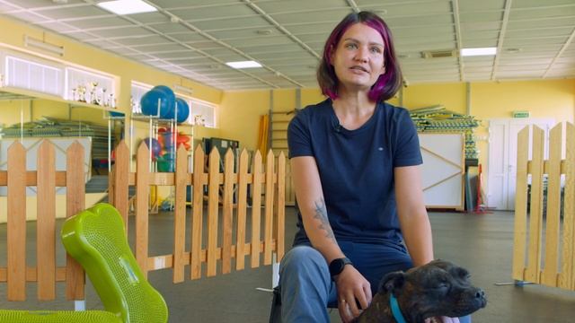 Как приучить щенка спать одного смотреть онлайн