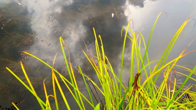 Тихое течение Пинчуги смотреть онлайн