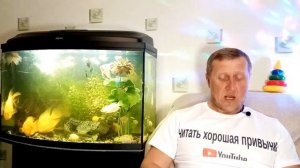 Кир Булычёв. Путешествие Алисы 5