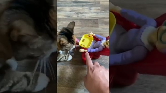 Greedy Granny VS. My Cats ? #shorts смотреть онлайн
