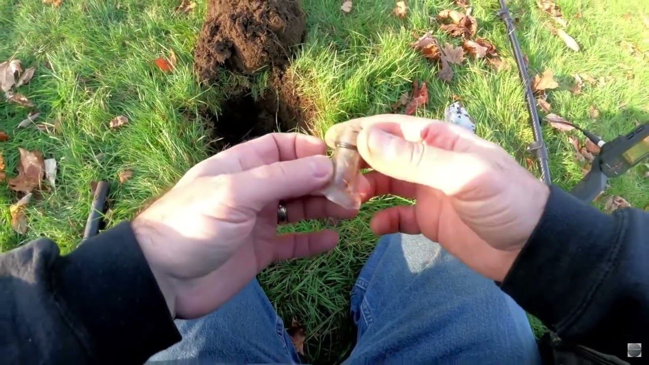 Поиск с Minelab Manticore  в парке