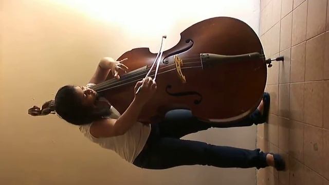 Serge Koussevitzky concerto for double bass. 1st mov. смотреть онлайн