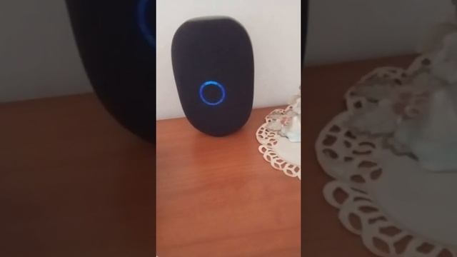 умная колонка Маруся смотреть онлайн