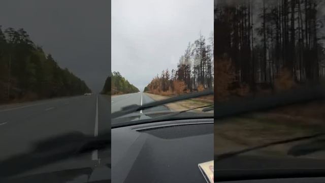 Дорогие сердцу места в Марий Эл после пожара в 2021 смотреть онлайн