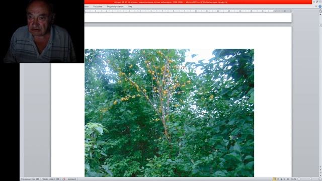 Персики и Абрикосы Бродского - Дальний Восток смотреть онлайн