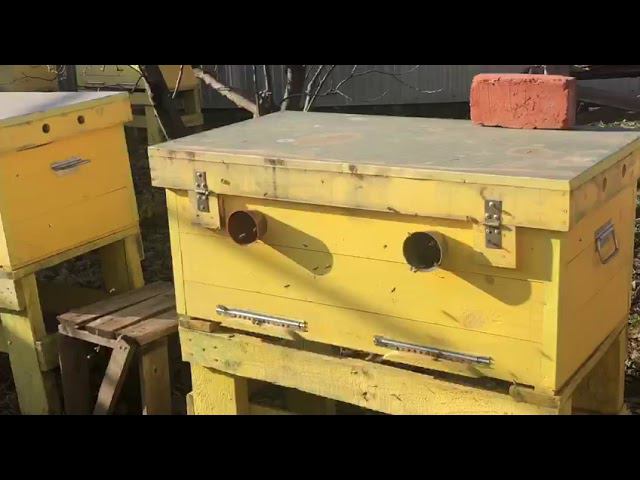 Докторская колбаса, рецепт 1938 года для новогоднего оливье к 2021 году!