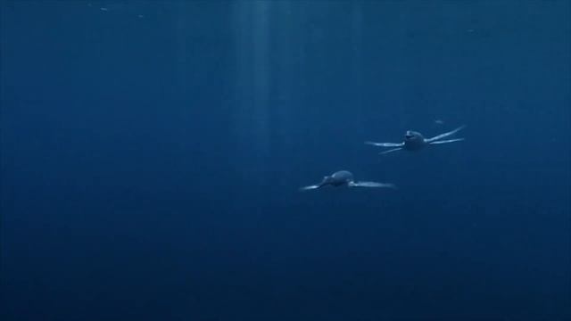 Sea Monsters: A Prehistoric Adventure [2007] - Squalicorax Screen Time смотреть онлайн