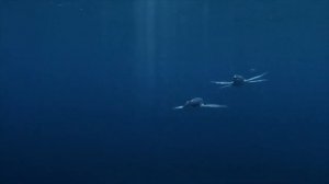 Sea Monsters: A Prehistoric Adventure [2007] - Squalicorax Screen Time