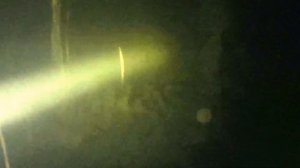 подводная охота ульяновск осень свияга ульяновск рыбы нет