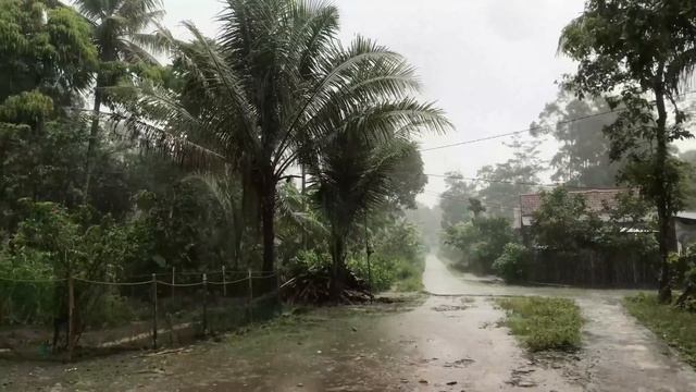 Rain Storm Wind and Lightning | Walking in the Rain | ASMR, Help Study, PTSD, Insomnia, Tinnitus смотреть онлайн